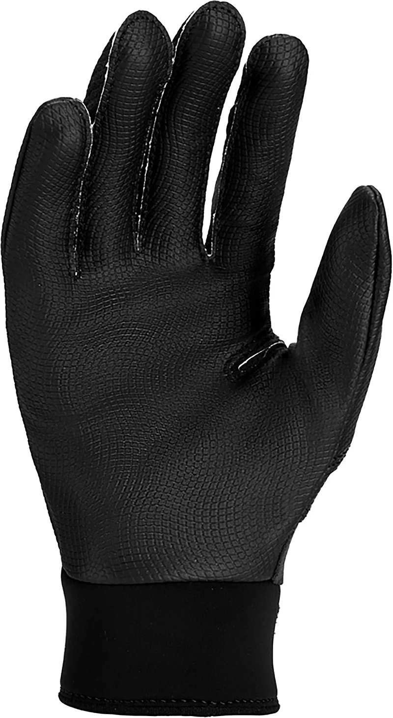 Nike Youth Alpha 2.0 Batting Glove