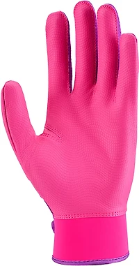 Nike Alpha 2.0 Batting Glove