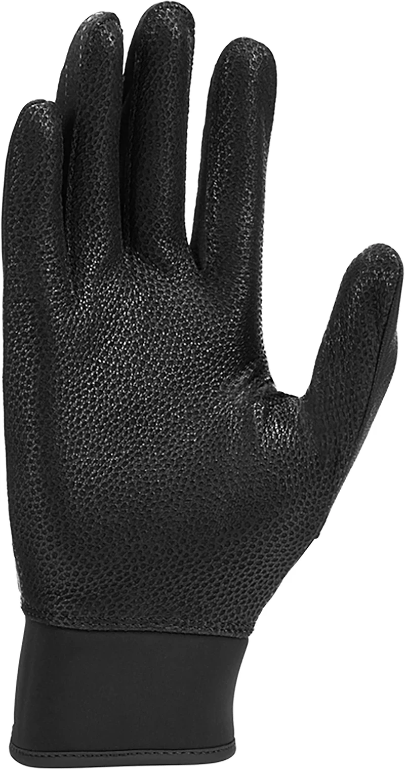 Nike Alpha Elite 2.0 Batting Glove