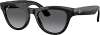 Ray-Ban Skyler Meta Gen 2 Sunglasses