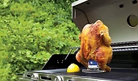 Charbroil Folding Beer Can Chicken Rack