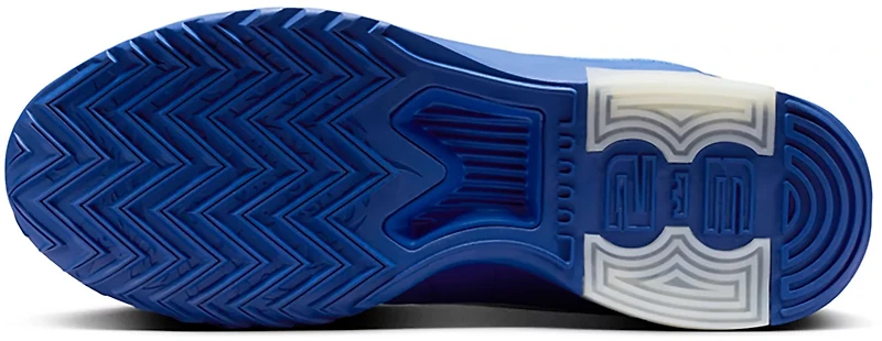 Nike Men's Lebron Witness IX TB Basketball Shoes