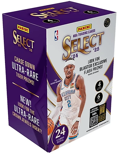 Panini 2024/25 Select Basketball Blaster Box