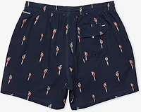 Hurley Men's Phantom Eco Poolside Combo Lined Volley Swim Shorts