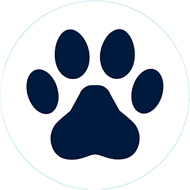 Bogg Bit Beach Bits Pack