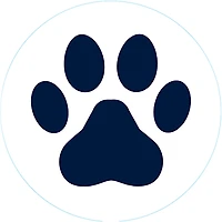 Bogg Bit Beach Bits Pack