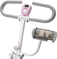 Sunny Health & Fitness SMART Upright Row-N-Ride