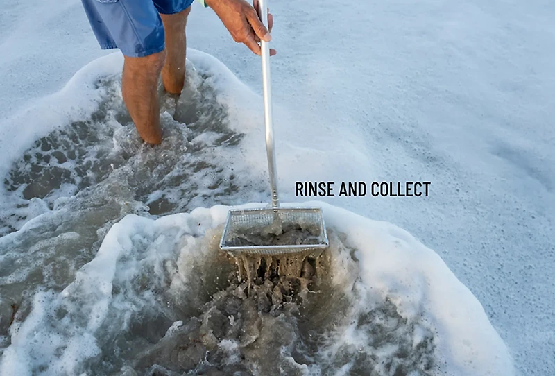 Tsunami 10 in Sand Flea Rake with 40 in Aluminum Handle