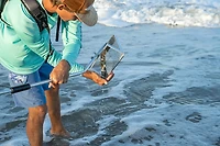 Tsunami 10 in Sand Flea Rake with 40 in Aluminum Handle