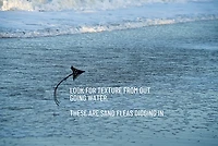 Tsunami 10 in Sand Flea Rake with 40 in Aluminum Handle