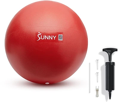 Sunny Health & Fitness Premium Pilates Ball 9"