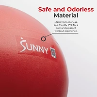 Sunny Health & Fitness Premium Pilates Ball 9"