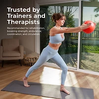 Sunny Health & Fitness Premium Pilates Ball 9"