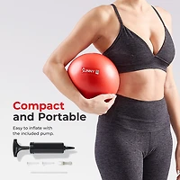 Sunny Health & Fitness Premium Pilates Ball 9"