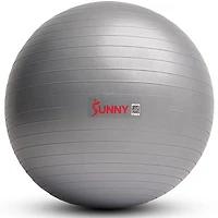 Sunny Health & Fitness Premium Yoga Ball