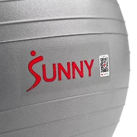 Sunny Health & Fitness Premium Yoga Ball