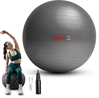 Sunny Health & Fitness Premium Yoga Ball