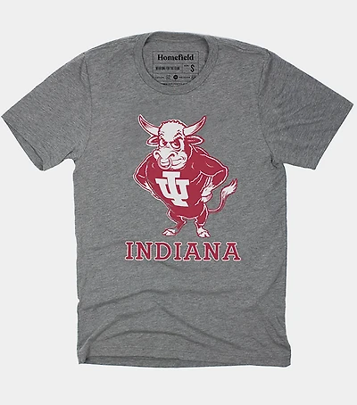 Homefield Men's Indiana Hoosiers Vintage Bison Short Sleeve T-shirt