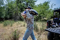 Academy Sports + Outdoors Deer Corn 40 lb Bag