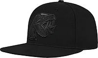 Pro Standard Men's Florida A&M University Primary Logo Mascot Snapback Cap