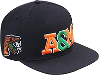 Pro Standard Florida A&M Rattlers Stacked Cap