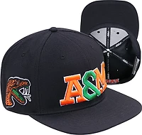 Pro Standard Florida A&M Rattlers Stacked Cap