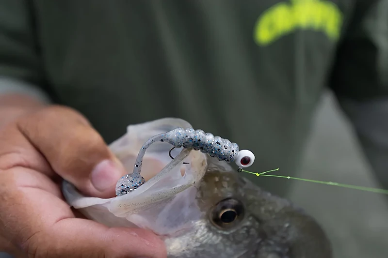 Mr. Crappie Slabalicious XL 10-Pack