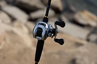Daiwa AIRD Baitcast Reel Clam