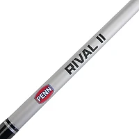 Penn Rival II 7 ft M Level Wind Combo