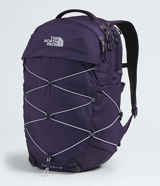 patagonia black hole mini mlc laptop bag Patagonia Black Hole Mini MLC 30L : Vermont Gear
