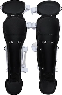 Rawlings Players Series Intermediate Set