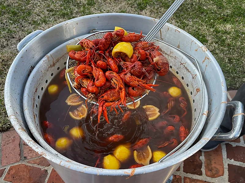 King Kooker Heavy-Duty 36 in Chrome-Plated Skimmer with 9 in Wire Mesh Bow