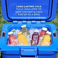 Coleman Pro 25 qt Hard Cooler