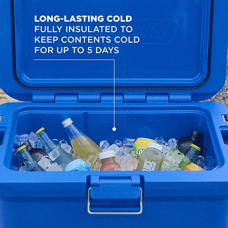 Coleman Pro 55 qt Hard Cooler