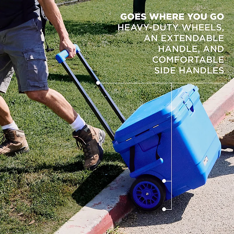 Coleman Pro 55 qt Hard Cooler