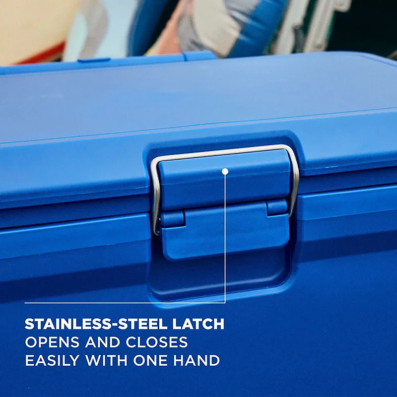 Coleman Pro 55 qt Hard Cooler