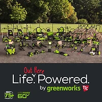 Greenworks Kids’ STEALTH 60V Mini Bike