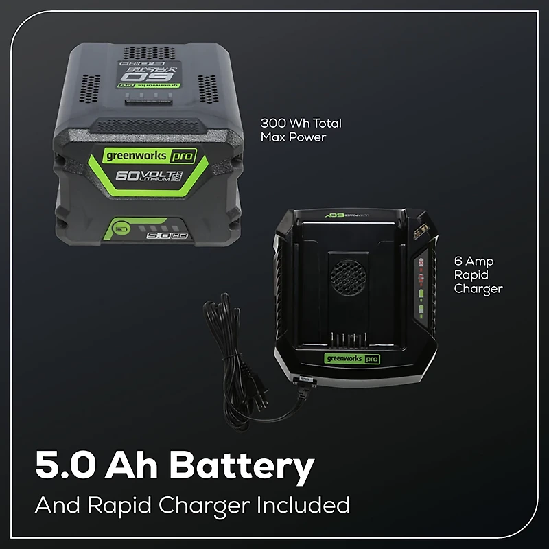 Greenworks 60V 20 in Fat Tire E-Bike 5Ah Battery