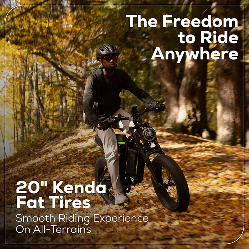 Greenworks Adults’ 60V VENTURE Series 20 in Fat Tire Electric Utility Bike