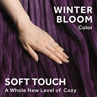 Sunbeam 50 in x 60 in Heated Throw