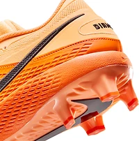 Nike Men's Diamond Gamer Baseball Cleats