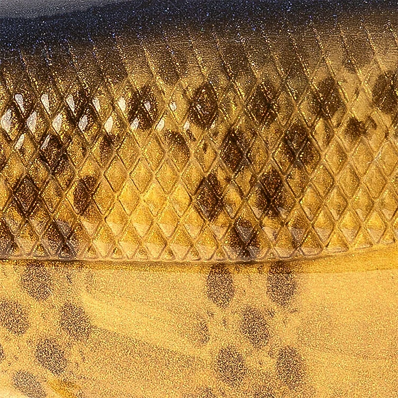 Strike King Patroller 90 Black Lab