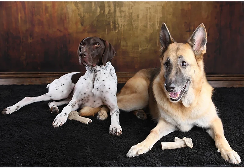 Scout & Zoe's Extra Large Elk Antler Dog Chews