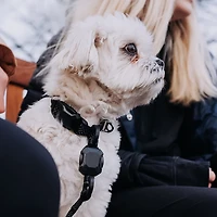 Hooza Quick Clip Collar