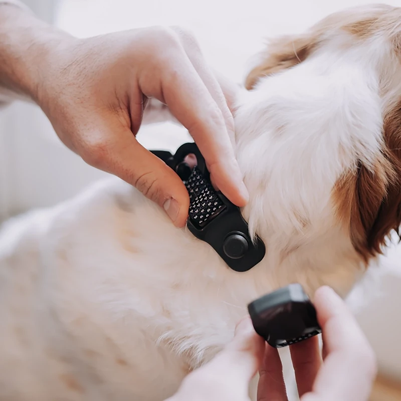 Hooza Quick Clip Collar