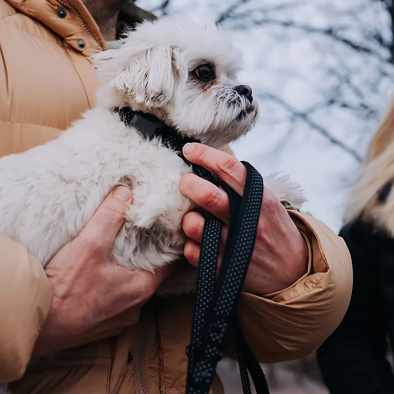 Hooza Quick Clip Collar