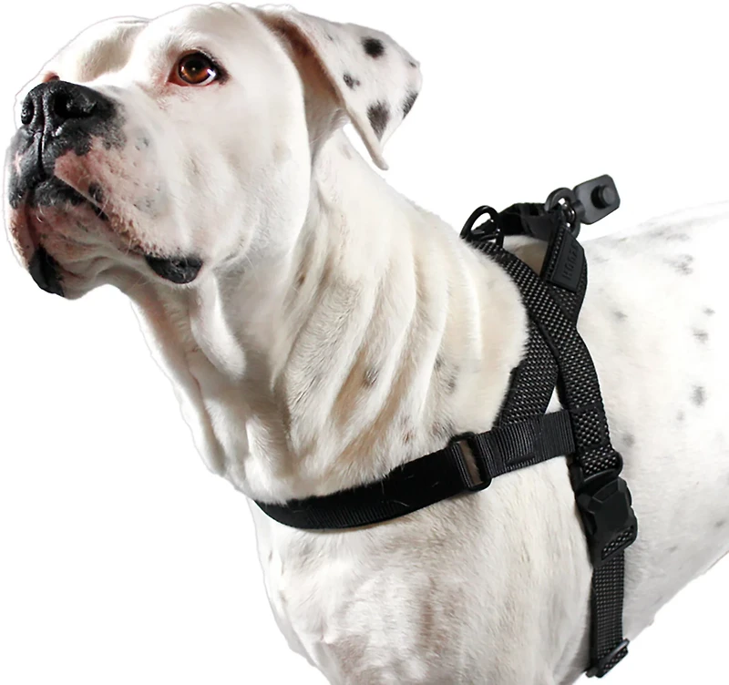 Hooza Quick Clip One Click Harness