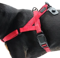 Hooza Quick Clip One Click Harness