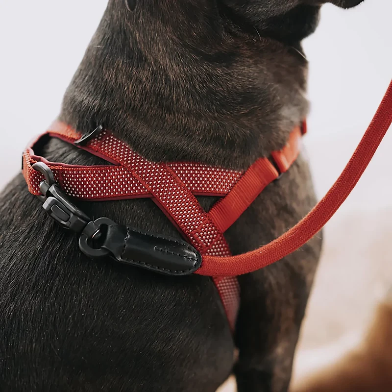 Hooza Quick Clip One Click Harness