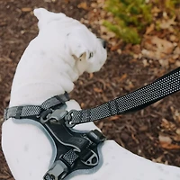 Hooza Quick Clip Reflective Leash